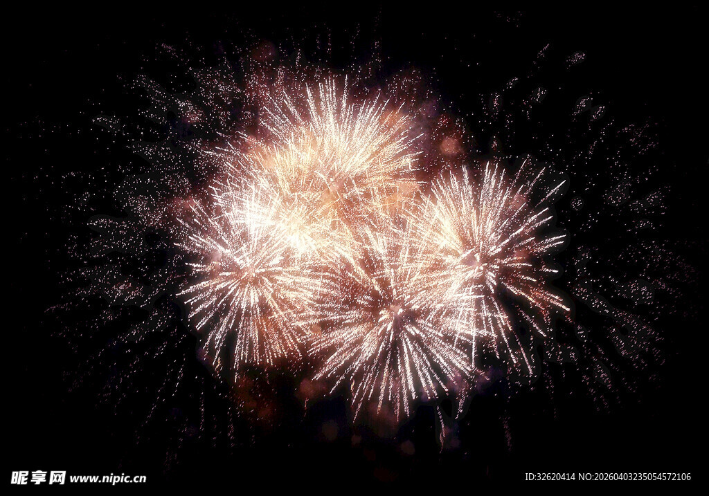 绚丽烟花绽放夜空