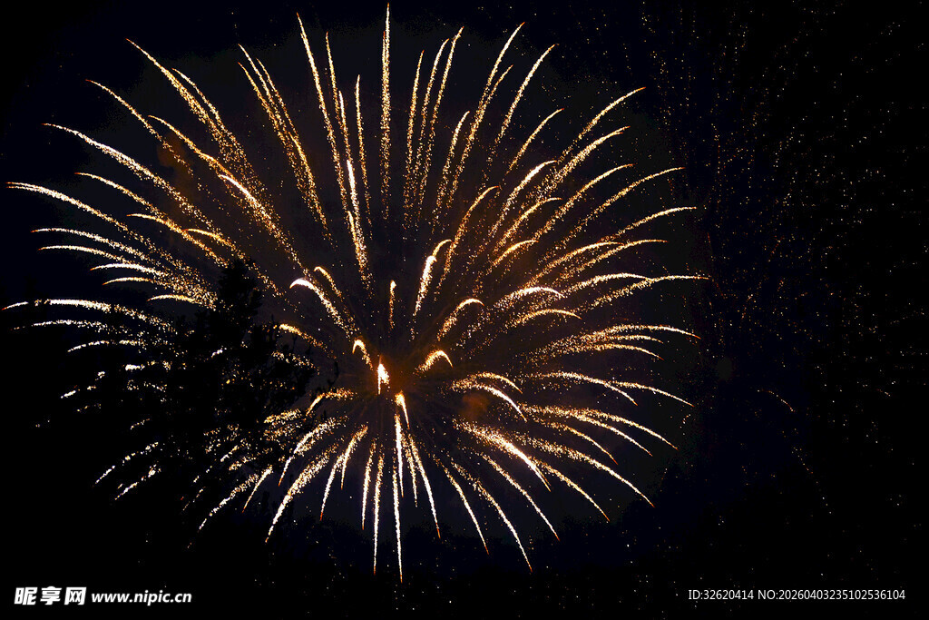 夜空中绚烂绽放的烟花