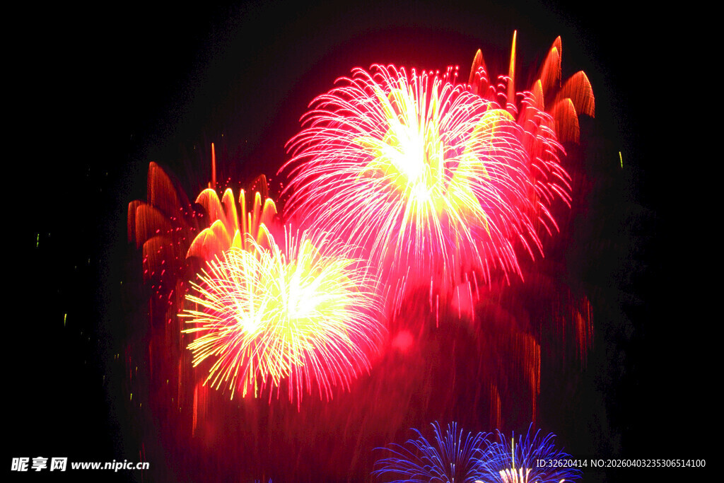 绚丽烟花绽放夜空