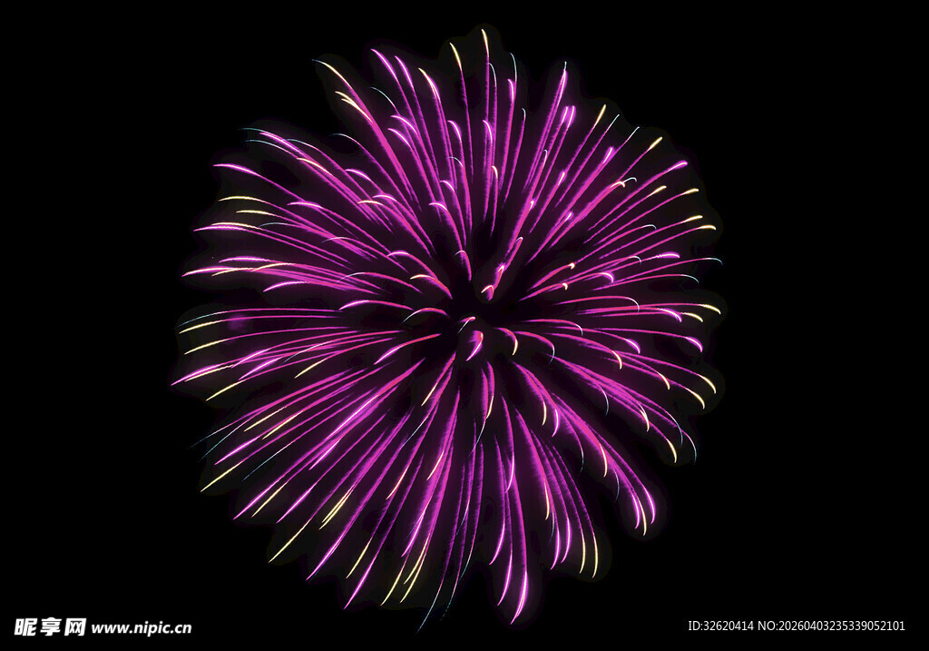 紫色绚烂烟花绽放