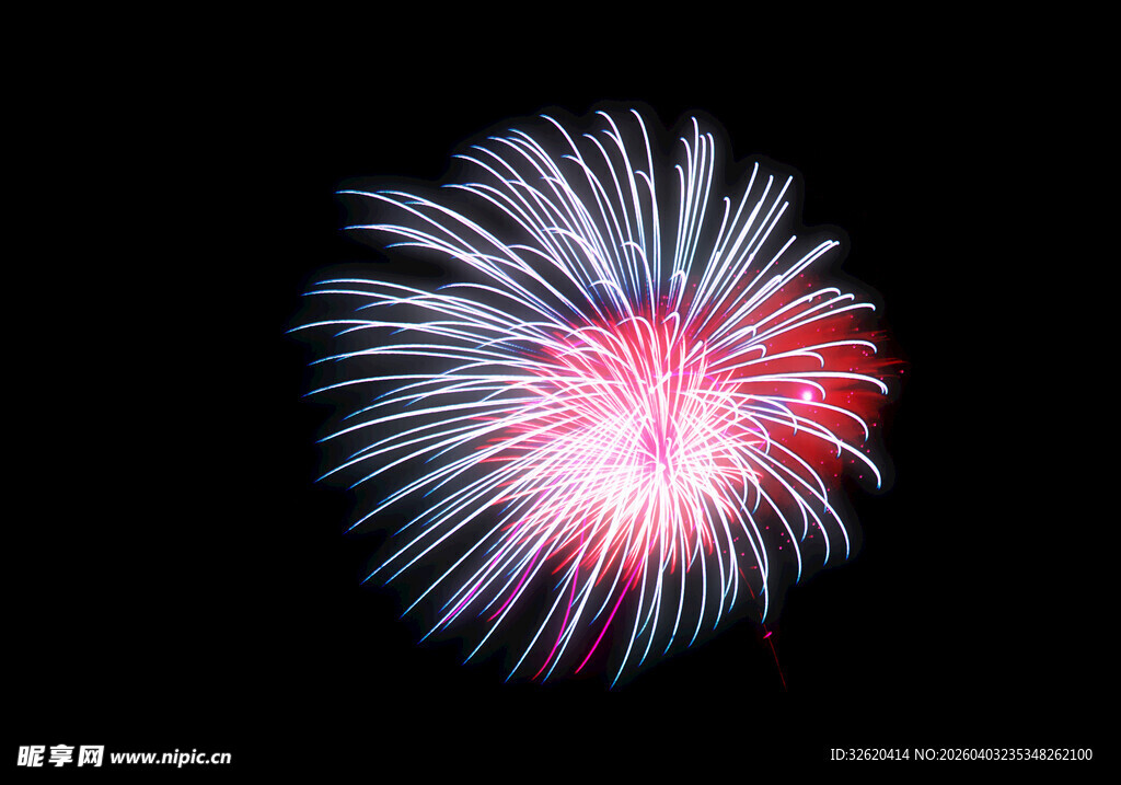 绚丽烟花绽放夜空