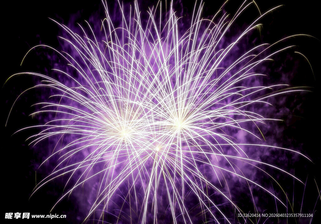 紫色绚烂烟花绽放瞬间