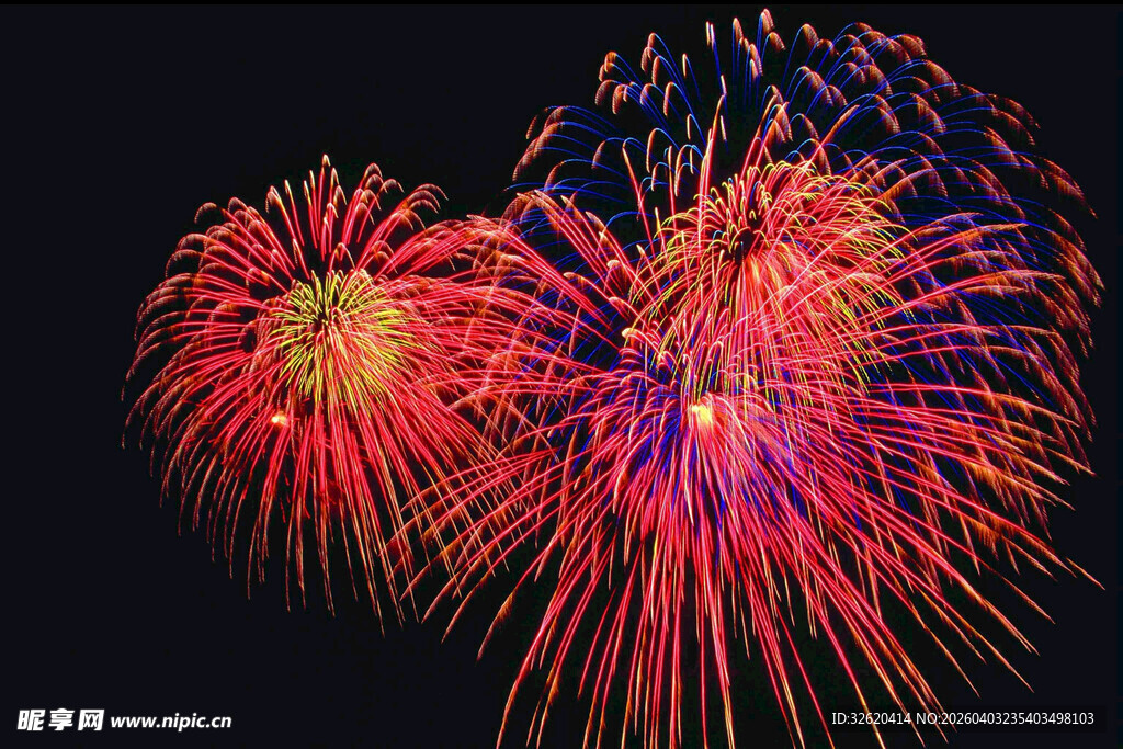 绚丽烟花绽放夜空