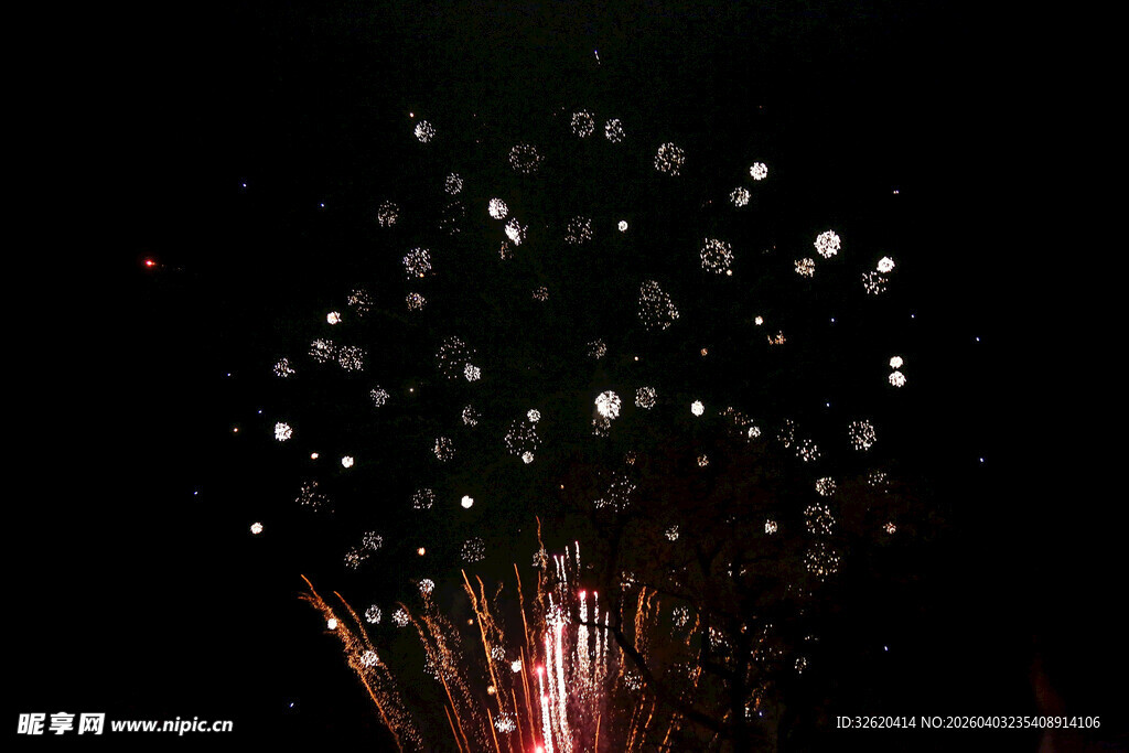 夜空中绚烂绽放的烟花