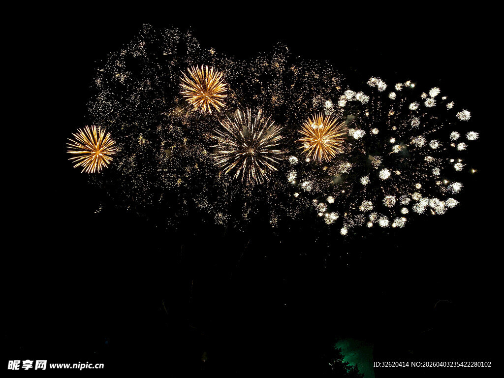 夜空中绚烂的烟花绽放