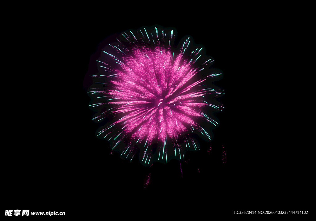 绽放的绚丽粉色烟花