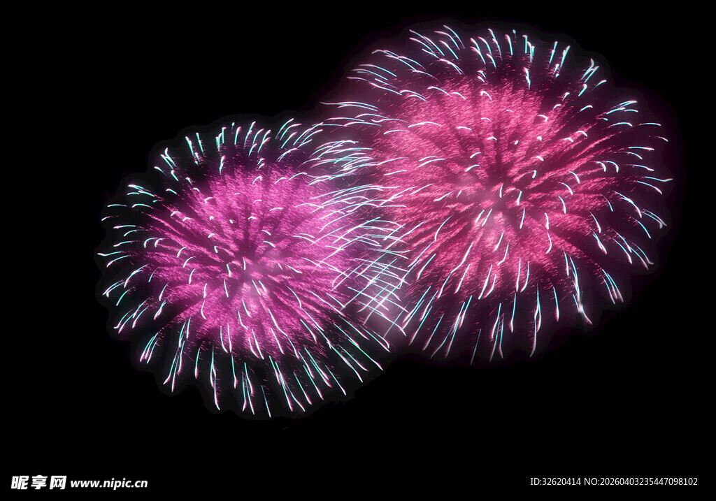 绚丽粉色烟花绽放夜空