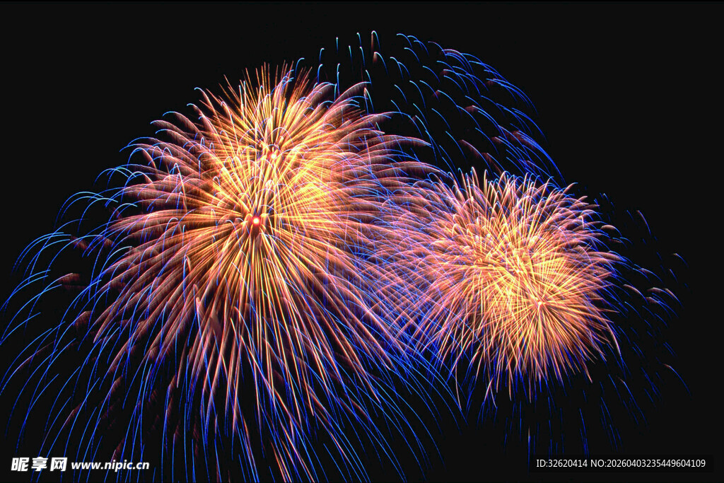 绚丽烟花绽放夜空