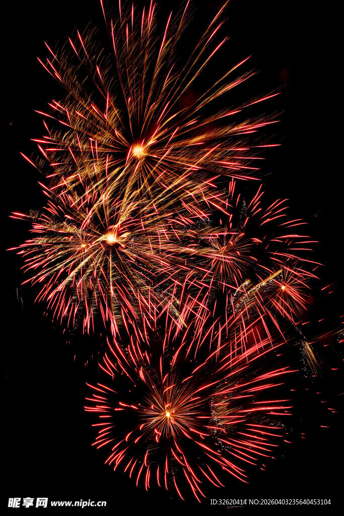 绚丽烟花绽放夜空