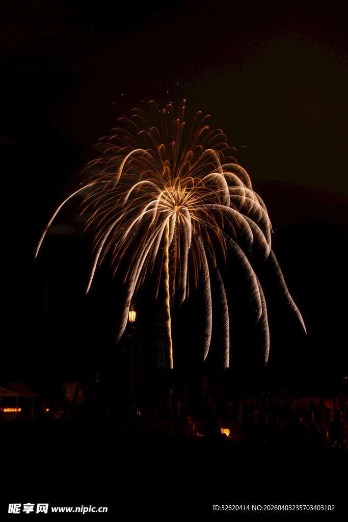 夜空中绽放的绚烂烟花