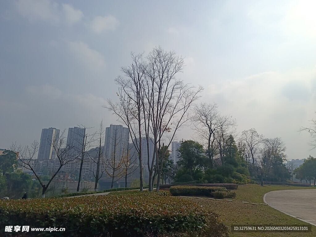 城市公园中的冬日风光