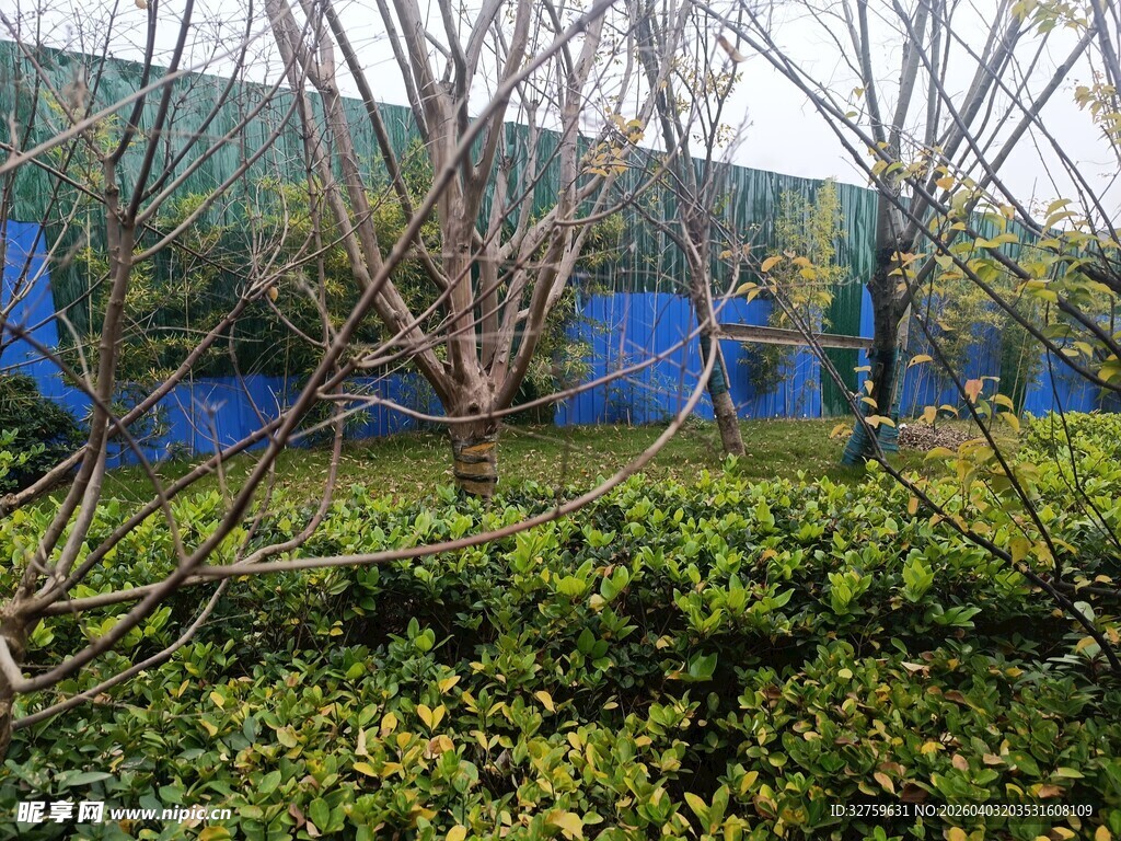 户外绿植与蓝色围挡景观