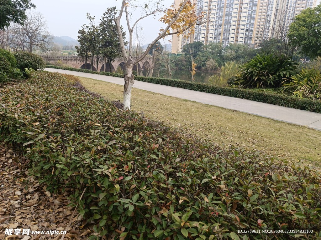 城市公园中的绿植景观