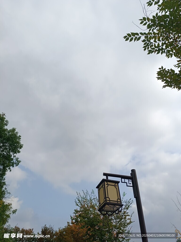户外路灯与天空绿树景象