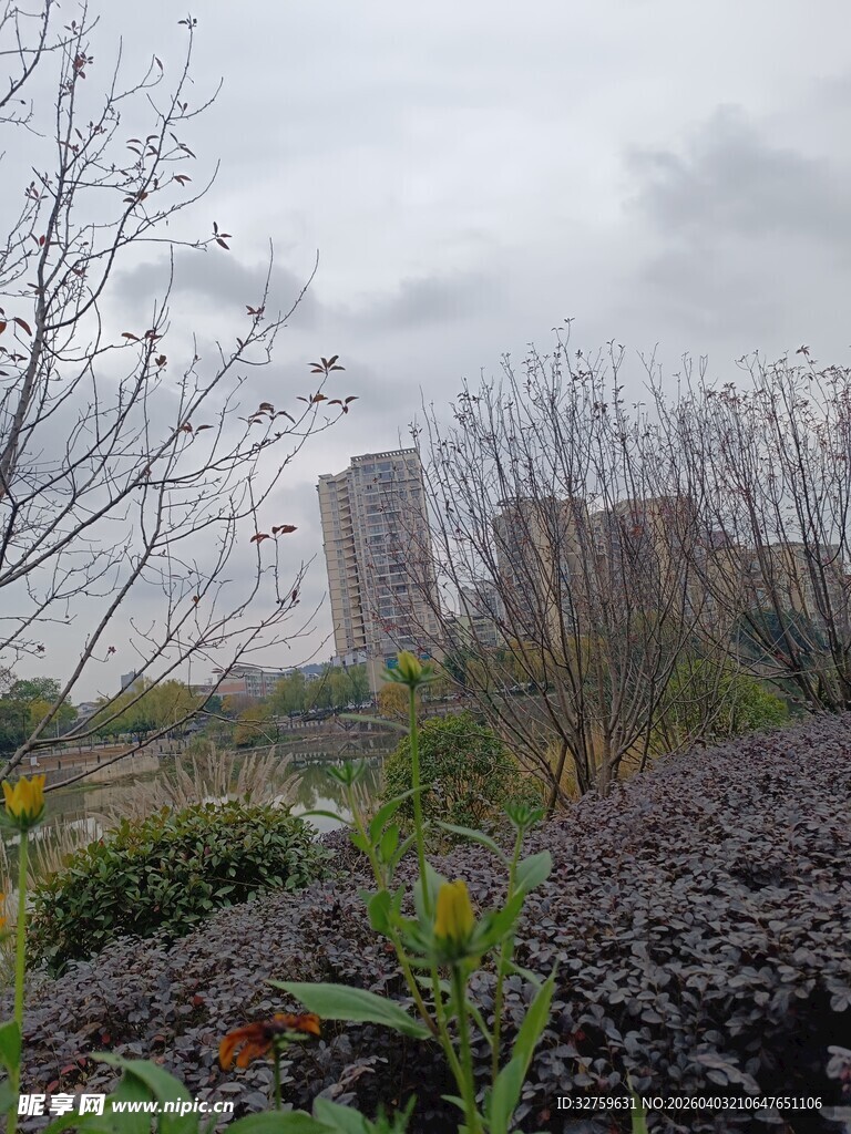 城市边的植被景观