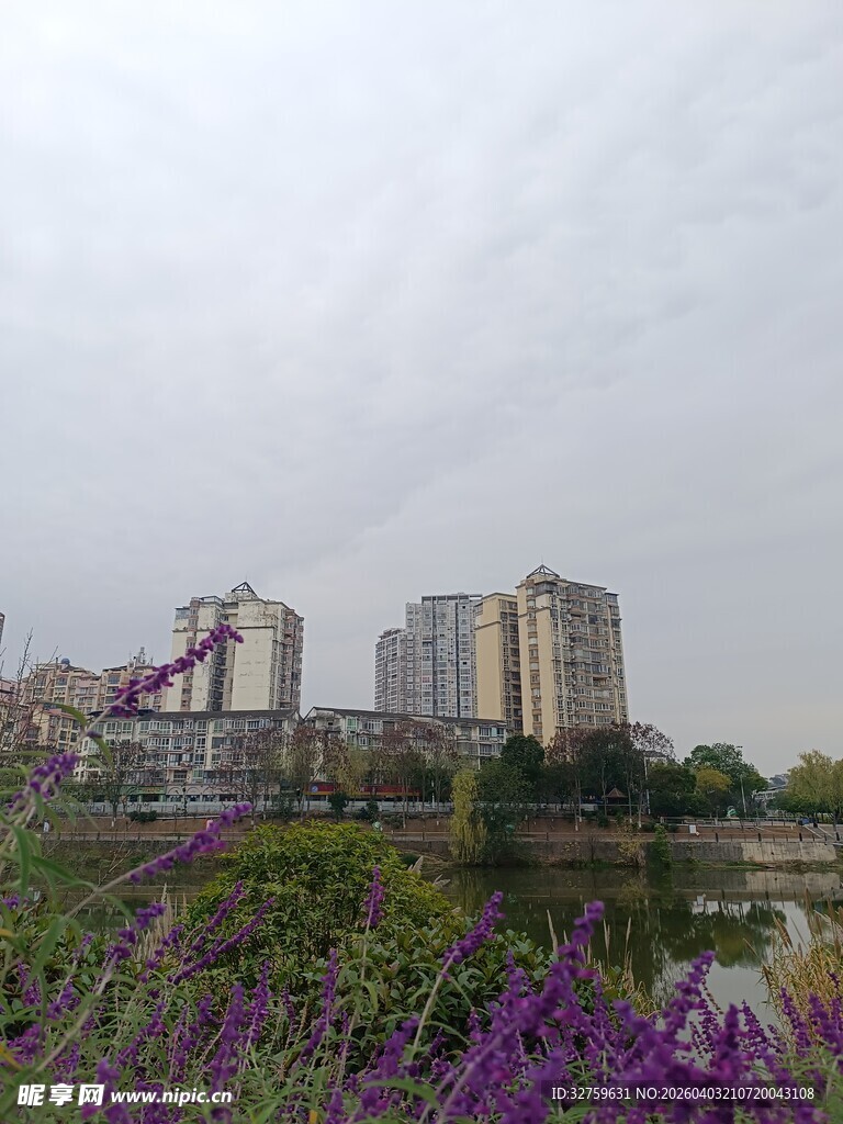 城市河畔紫色花卉景观