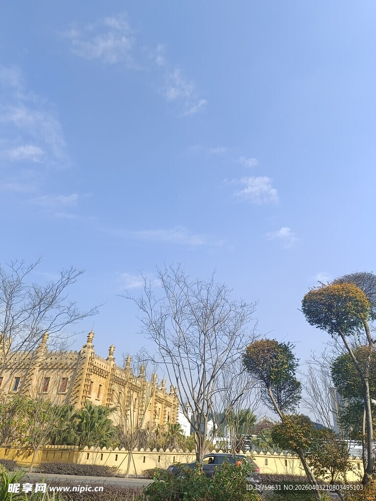 蓝天映衬下的建筑与树木