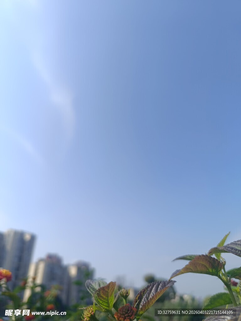 蓝天绿植旁的城市景观