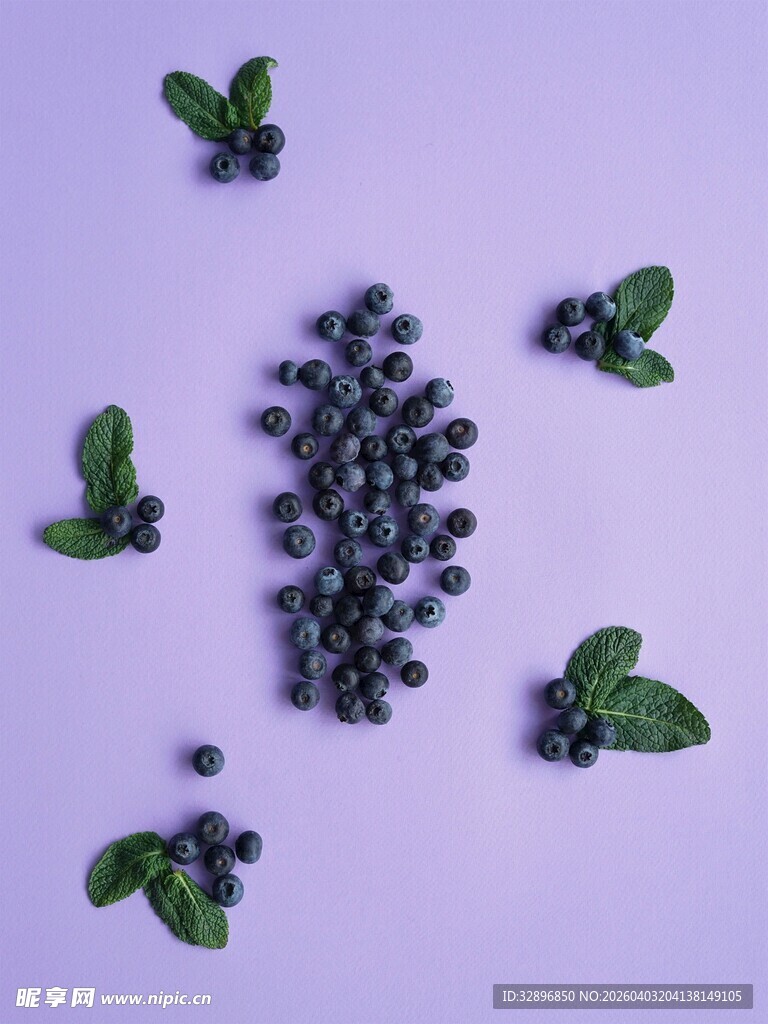 紫色背景上的蓝莓与绿叶