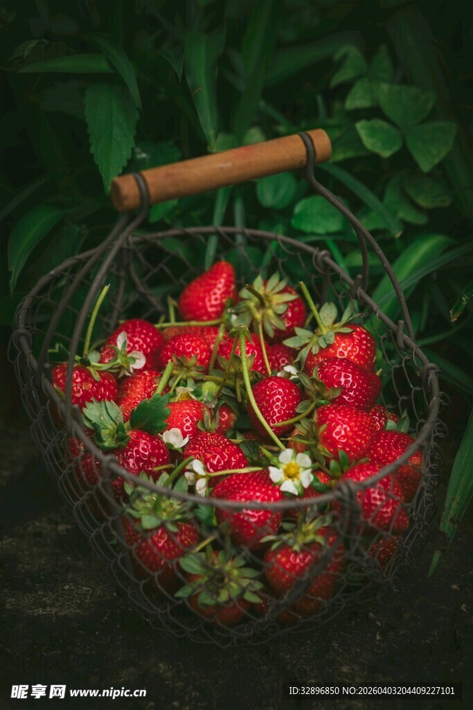 装满草莓的复古铁艺篮子