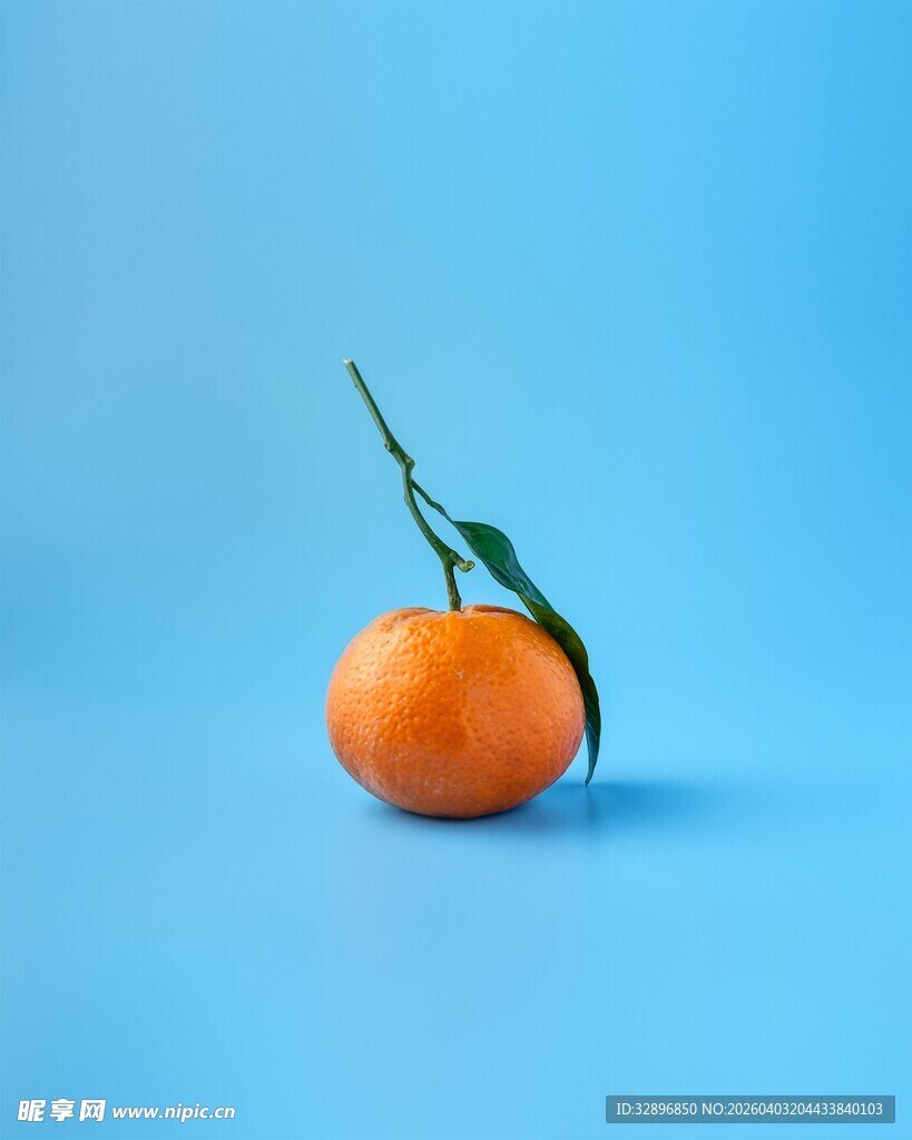 蓝底上的鲜橙与绿叶