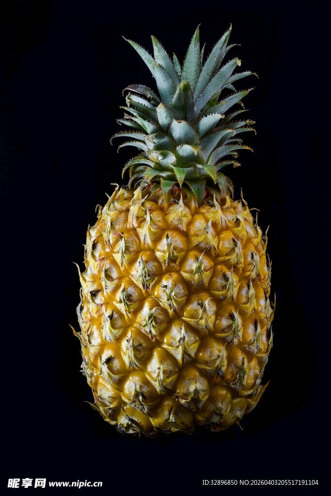 单个金黄菠萝特写