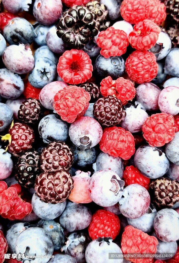 多彩浆果大集合