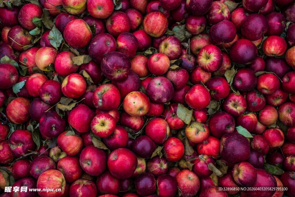 红苹果堆叠的丰收景象