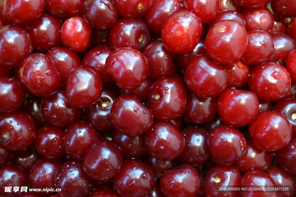 饱满鲜红的诱人樱桃