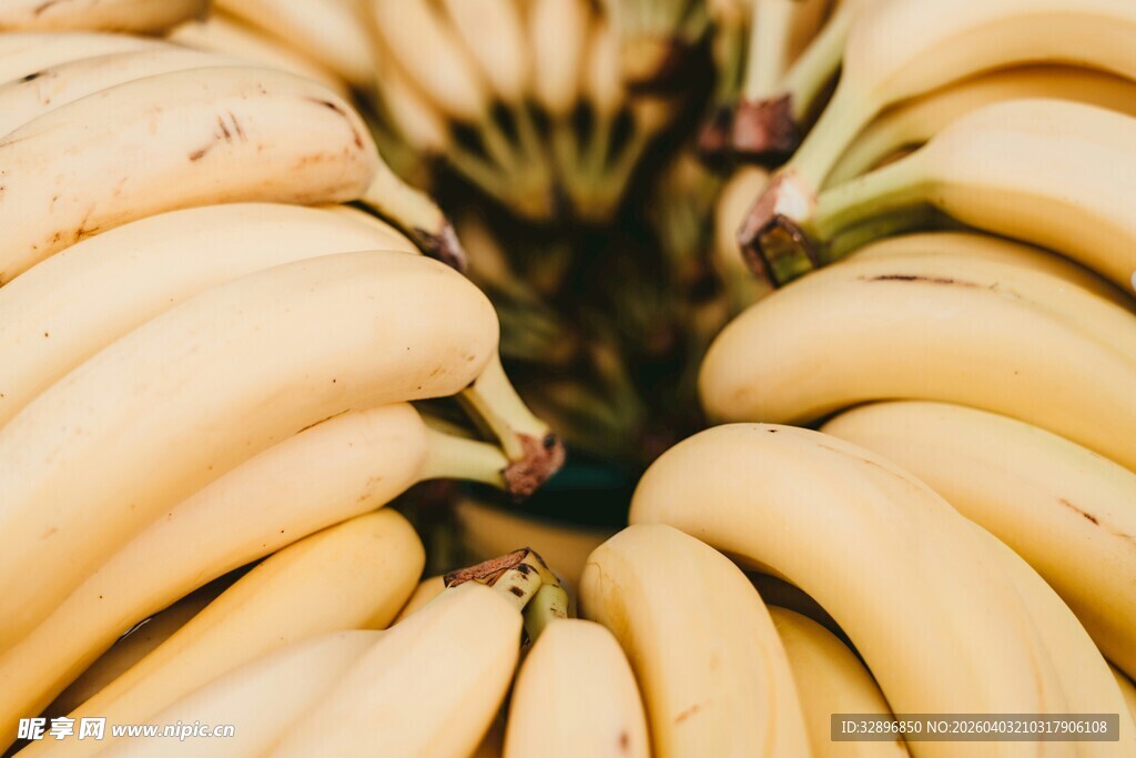 一堆新鲜饱满的黄色香蕉