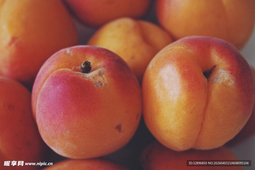 新鲜诱人的成熟杏子