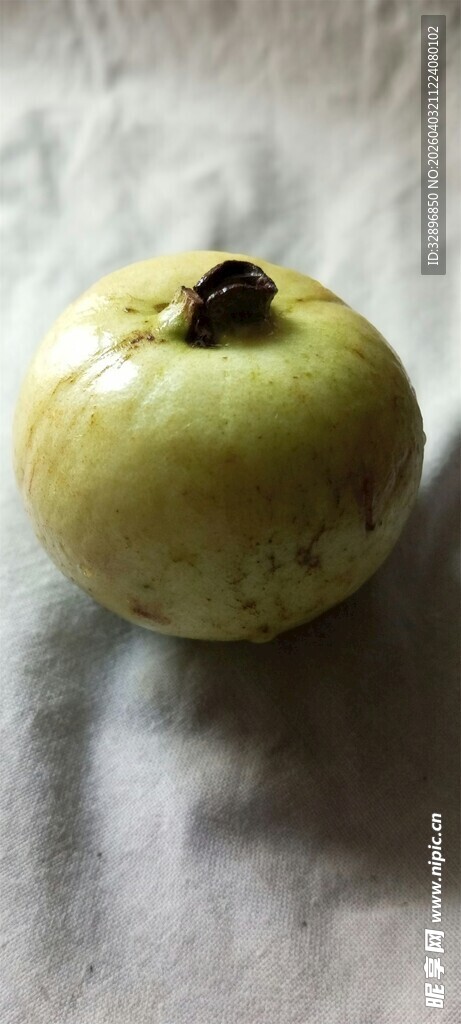 黄绿色番石榴果实特写