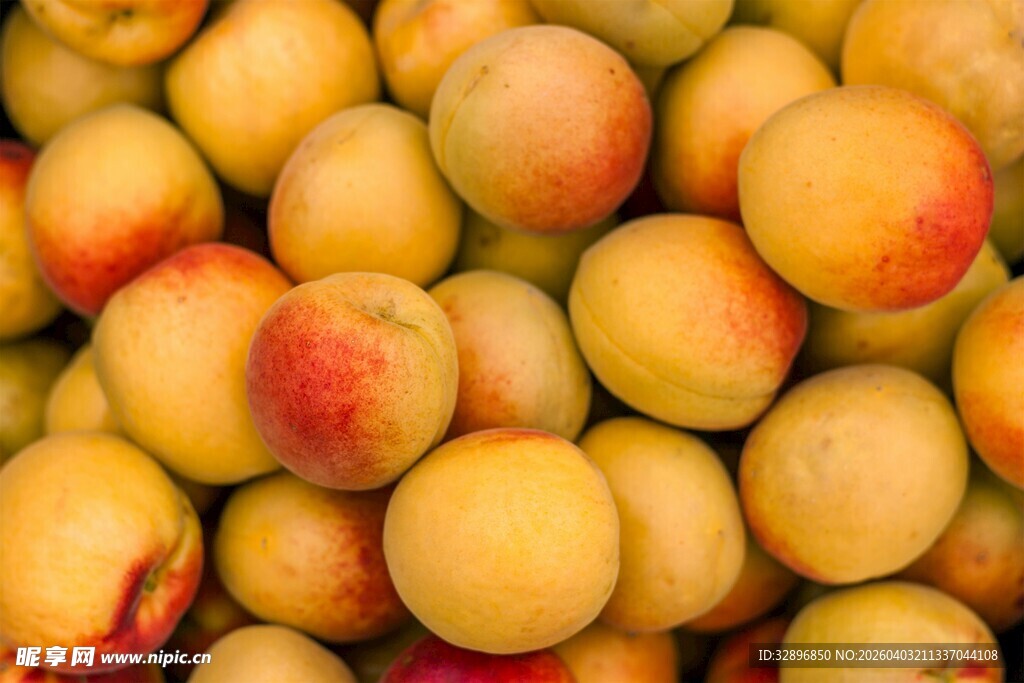 饱满诱人的新鲜杏子