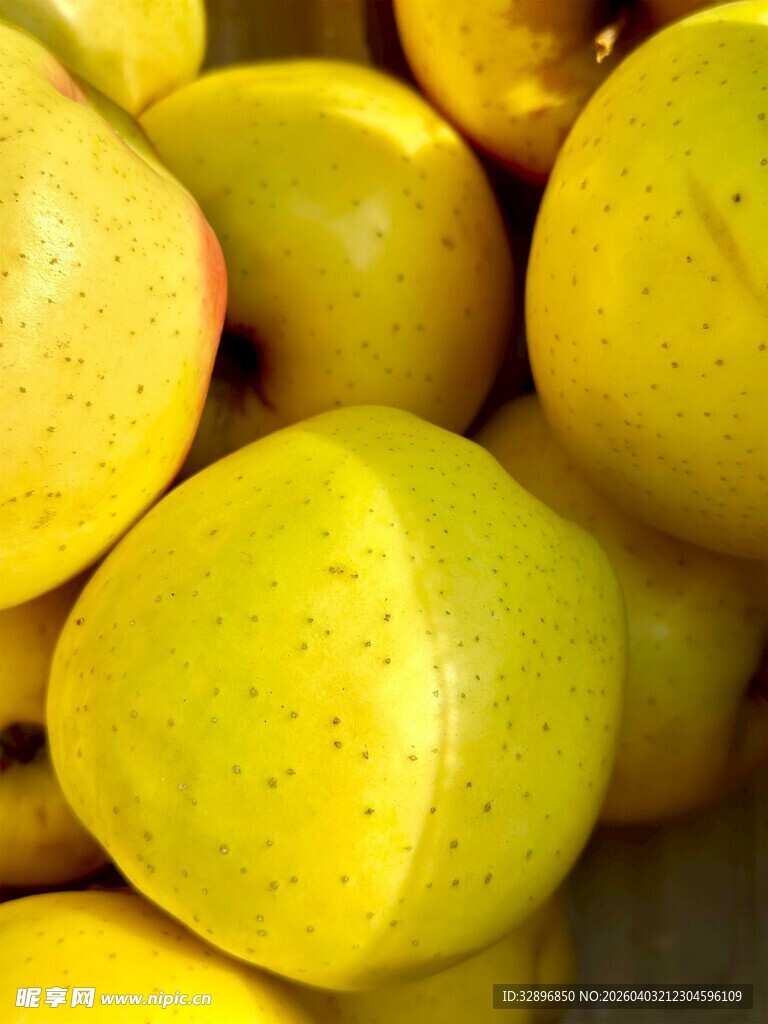 金黄饱满的新鲜梨子