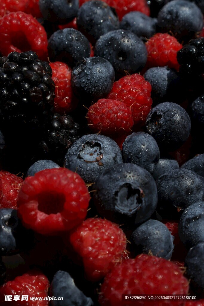 多彩浆果大集合