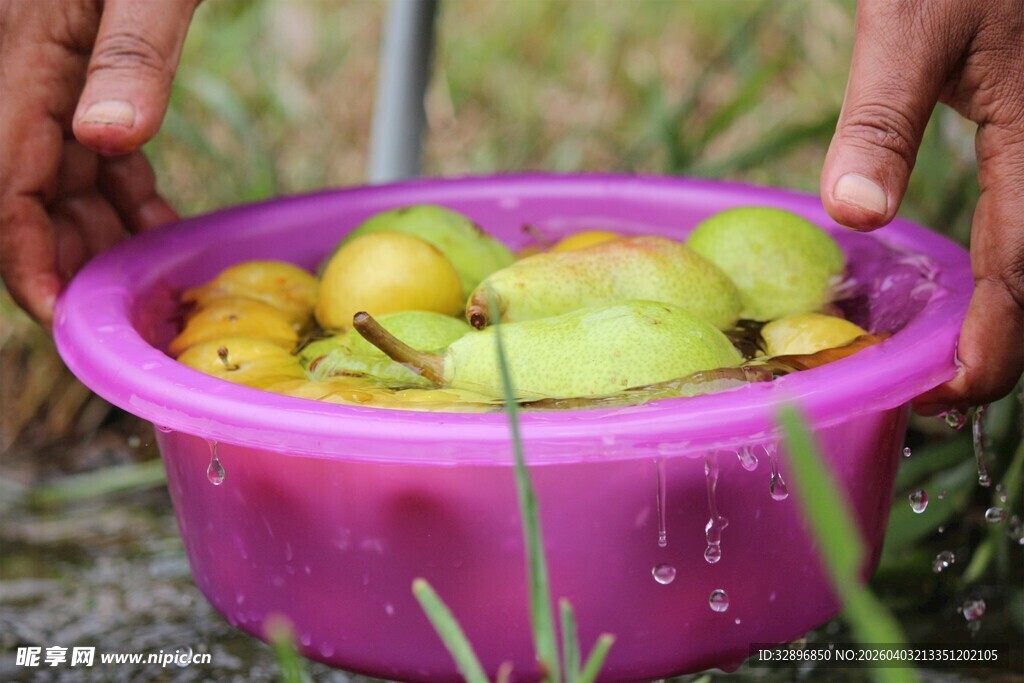 双手捧起盆中多彩水果