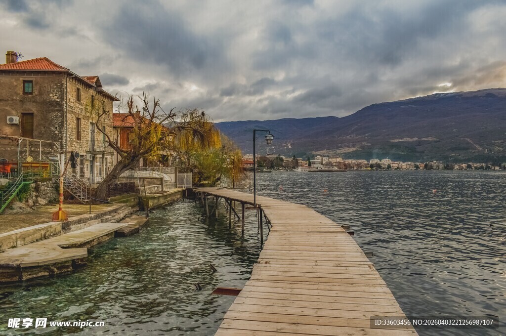 湖畔木栈道旁的美丽景致