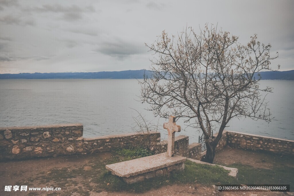 湖畔孤树旁的静谧景致