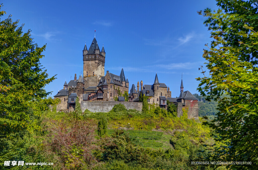 森林中的古老宏伟城堡