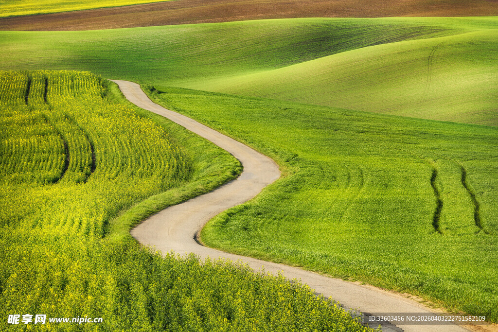 蜿蜒小路穿行翠绿田野