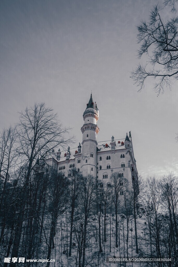 雪林中的梦幻城堡