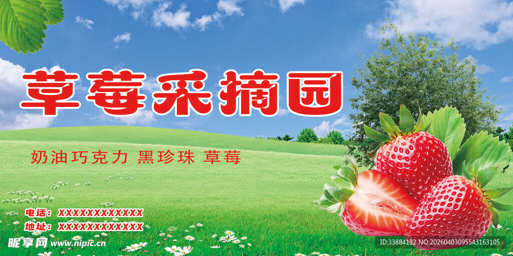 草莓采摘园宣传海报