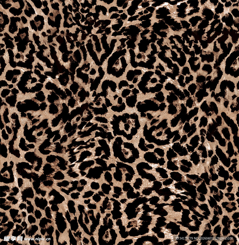 豹纹图案纹理
