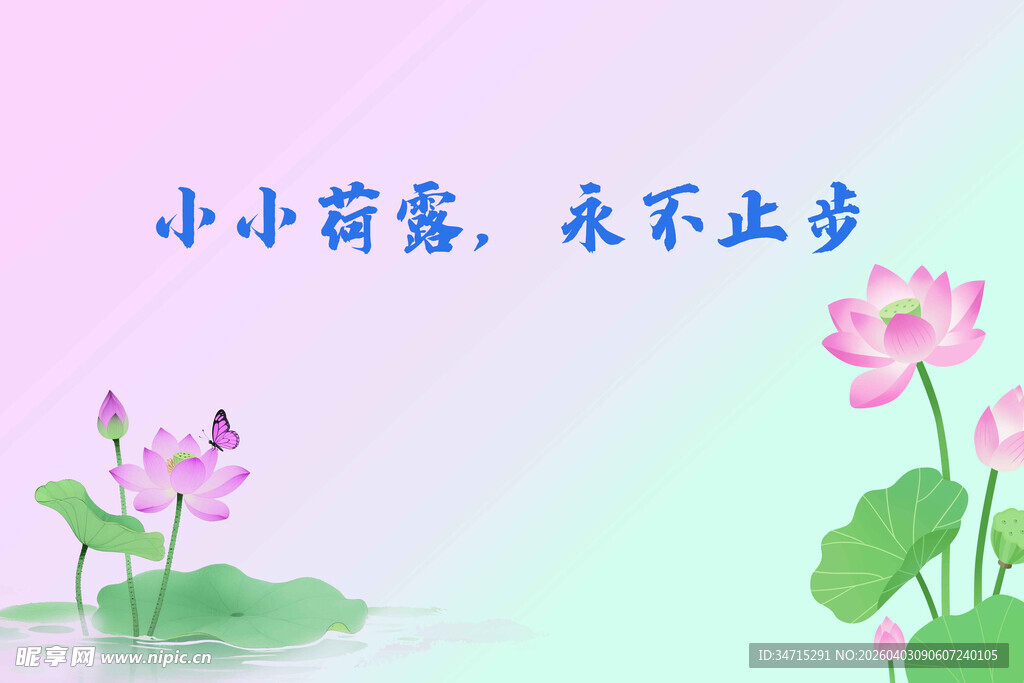 荷花  粉色背景