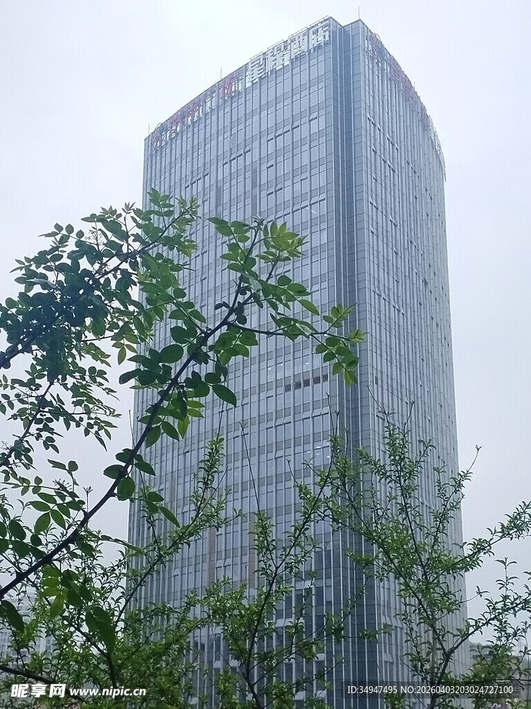 高楼旁的绿植景观