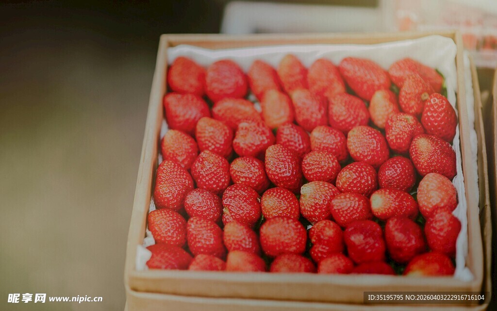 新鲜盒装草莓待售