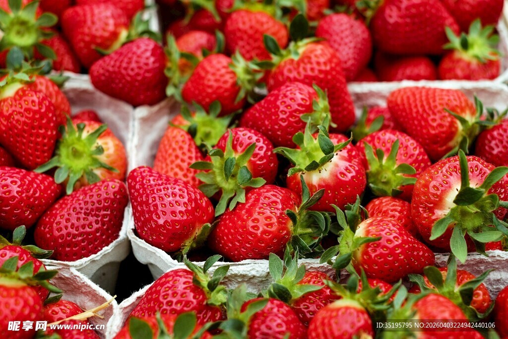 新鲜草莓整齐摆放售卖