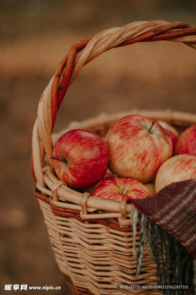 篮子里的红苹果