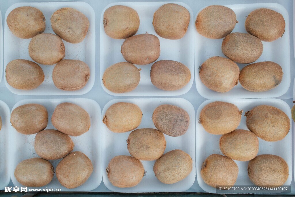 盒装棕色圆球食品展示