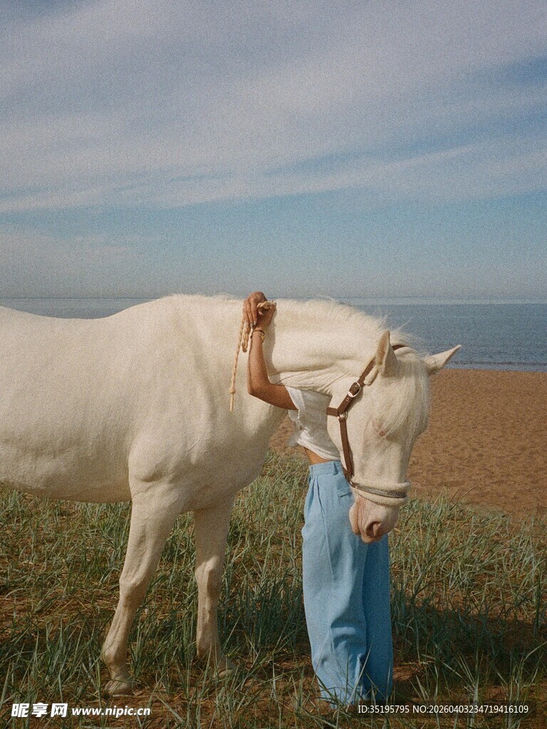 人与白马在草地温馨互动